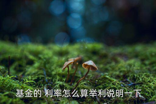  基金的 利率怎么算舉利說(shuō)明一下