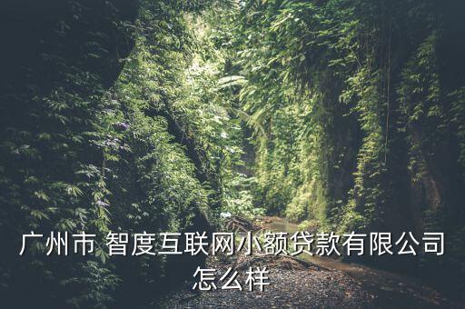 廣州市 智度互聯(lián)網(wǎng)小額貸款有限公司怎么樣