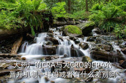 大藥廠的CRA與大CRO的CRA的晉升機(jī)制一樣嗎或者有什么差別阿