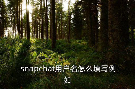  snapchat用戶名怎么填寫例如