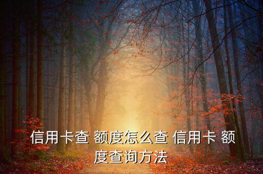 怎么查信用卡的透支額度,如何查詢(xún)工行信用卡透支額度?