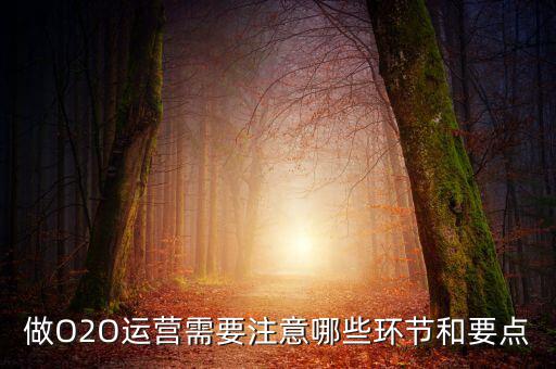 做O2O運(yùn)營(yíng)需要注意哪些環(huán)節(jié)和要點(diǎn)