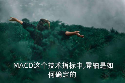  MACD這個技術(shù)指標(biāo)中,零軸是如何確定的