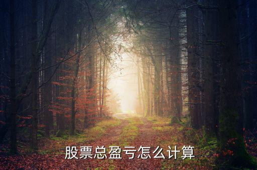 股票賺賠怎么算,股票總盈虧法:交易軟件可統(tǒng)計出總的轉(zhuǎn)入資金