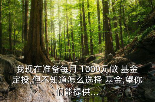 我現(xiàn)在準(zhǔn)備每月 1000元做 基金定投,但不知道怎么選擇 基金,望你們能提供...