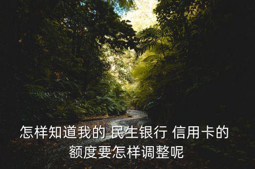 怎樣知道我的 民生銀行 信用卡的 額度要怎樣調(diào)整呢