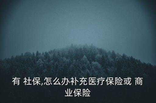 有 社保,怎么辦補(bǔ)充醫(yī)療保險(xiǎn)或 商業(yè)保險(xiǎn)