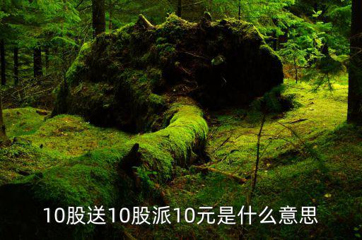 10股送10股派10元是什么意思