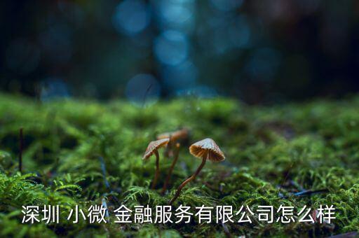 深圳 小微 金融服務(wù)有限公司怎么樣