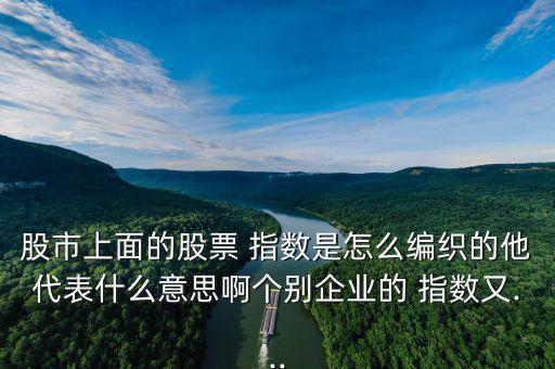 股市上面的股票 指數(shù)是怎么編織的他代表什么意思啊個別企業(yè)的 指數(shù)又...