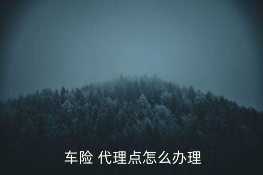 車險代理公司怎么開,保險代理-2/指依法設立的專業(yè)保險機構