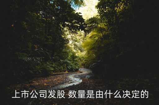  上市公司發(fā)股 數(shù)量是由什么決定的