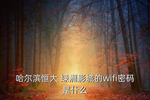 無(wú)線綠洲怎么樣,密碼知多少?問與答（18）