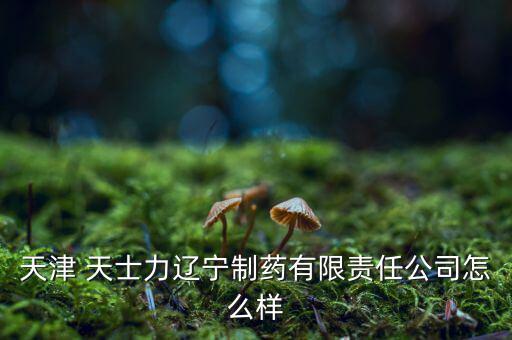 天津 天士力遼寧制藥有限責(zé)任公司怎么樣