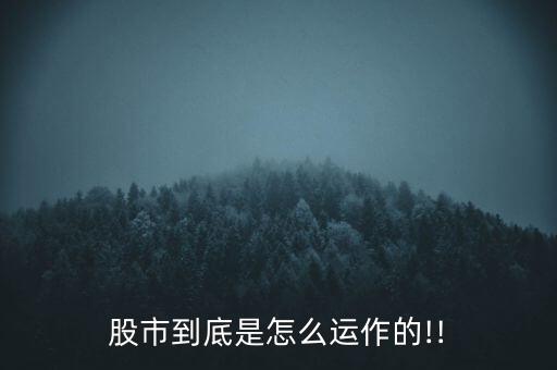 升股營怎么回事,拉升股price如何操作?