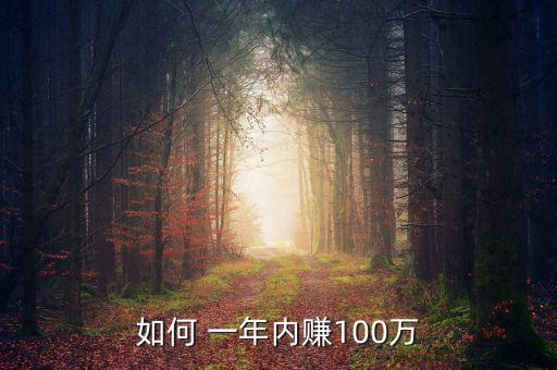 一年掙錢(qián)100萬(wàn)怎么掙得,如何從3萬(wàn)起步到100萬(wàn)元人生