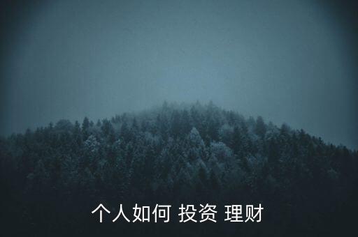 個(gè)人如何 投資 理財(cái)