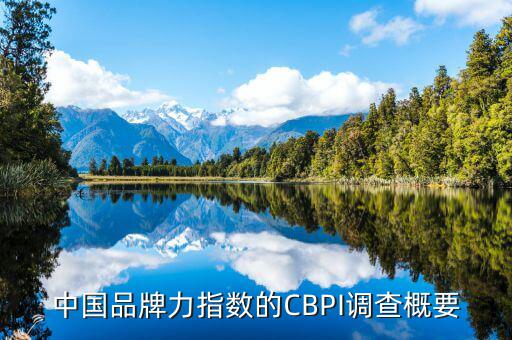 中國品牌力指數的CBPI調查概要