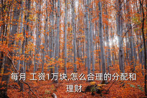 一萬(wàn)工資怎么理財(cái),投資保險(xiǎn)收益不錯(cuò)可選擇擇日投資