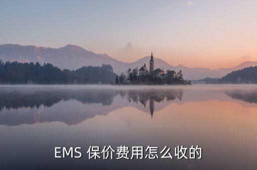 EMS 保價(jià)費(fèi)用怎么收的