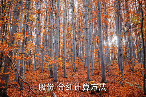 股份 分紅計算方法