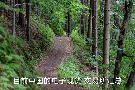 東北亞煤炭交易有限公司怎么樣,我所知道的農(nóng)副產(chǎn)品有哪幾個?