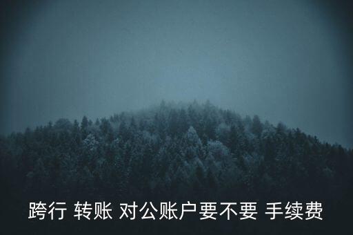 跨行 轉(zhuǎn)賬 對(duì)公賬戶要不要 手續(xù)費(fèi)