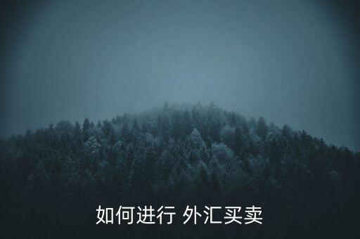 怎么買(mǎi)外匯交易,中國(guó)銀行外匯交易量大多建議去中國(guó)工商銀行