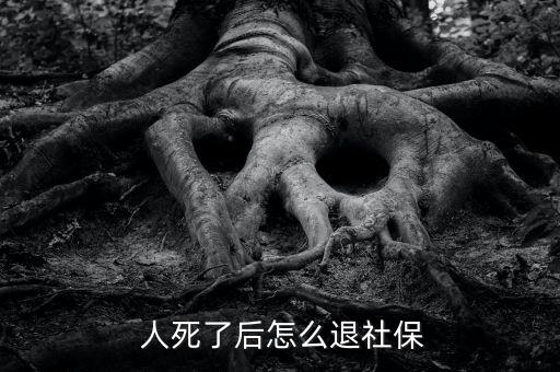 人死后新農合養(yǎng)老保險怎么退,人死了以后醫(yī)保還能退嗎?