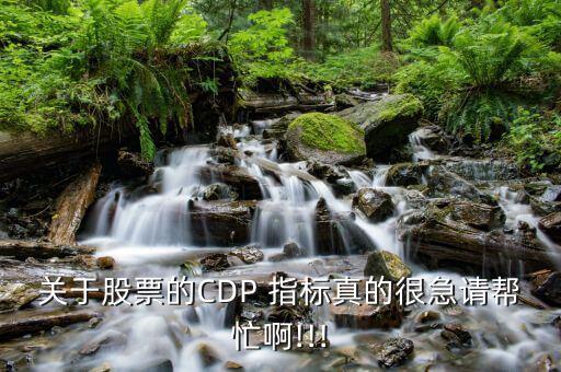 關(guān)于股票的CDP 指標(biāo)真的很急請幫忙啊!!!