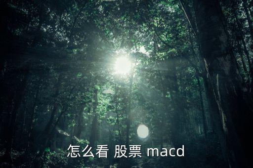 怎么看 股票 macd