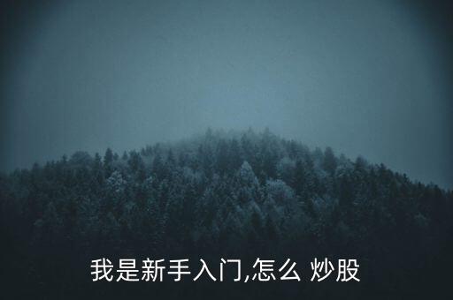 我是新手入門,怎么 炒股