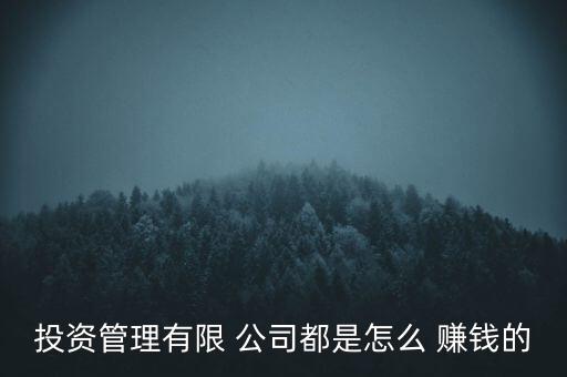 投資管理有限 公司都是怎么 賺錢的