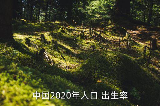 中國2020年人口 出生率