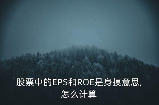 股票中的EPS和ROE是身摸意思,怎么計(jì)算