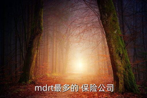  mdrt最多的 保險(xiǎn)公司