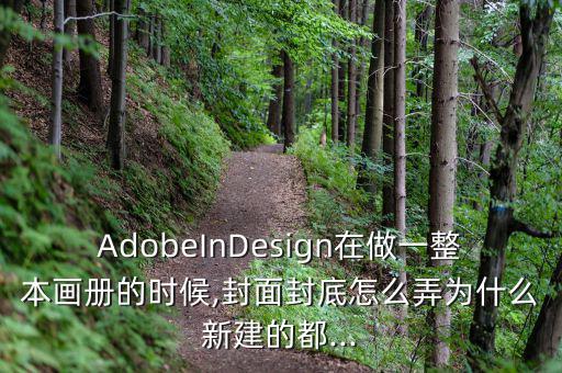 AdobeInDesign在做一整本畫冊(cè)的時(shí)候,封面封底怎么弄為什么新建的都...