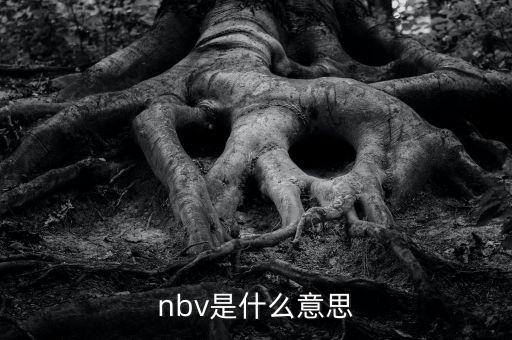 保險nbv是什么意思，nbv是什么意思