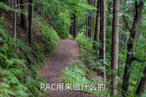 PAC用來(lái)做什么的