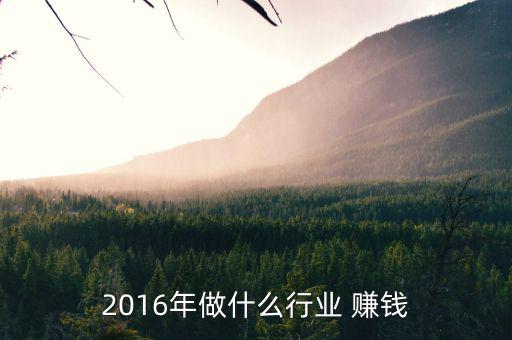 2016年了我們該怎么賺錢,互聯(lián)網如何發(fā)展?