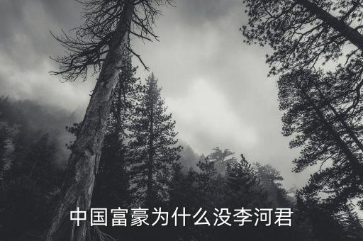 中國富豪為什么沒李河君