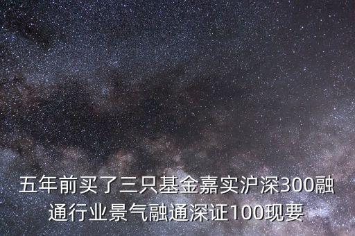 五年前買了三只基金嘉實(shí)滬深300融通行業(yè)景氣融通深證100現(xiàn)要