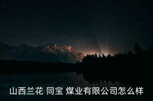 山西蘭花 同寶 煤業(yè)有限公司怎么樣