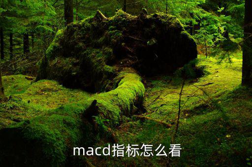  macd指標(biāo)怎么看