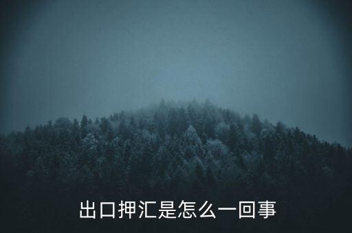 出口時代網(wǎng)怎么樣,出口票據(jù)議付需要注意什么?