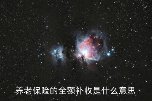 養(yǎng)老保險的全額補收是什么意思