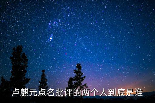 盧麒元點(diǎn)名批評(píng)的兩個(gè)人到底是誰(shuí)