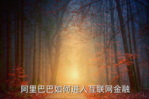  阿里巴巴如何進入互聯(lián)網(wǎng)金融