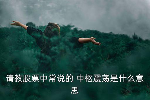 請(qǐng)教股票中常說(shuō)的 中樞震蕩是什么意思