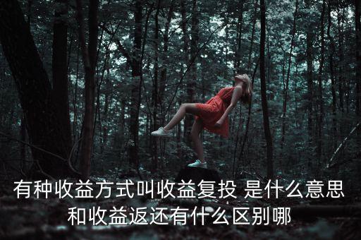 按月復(fù)投是什么意思，本息復(fù)投是什么意思